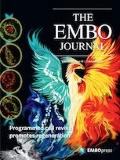 Cover of The EMBO Journal, featuring study using the protocol.