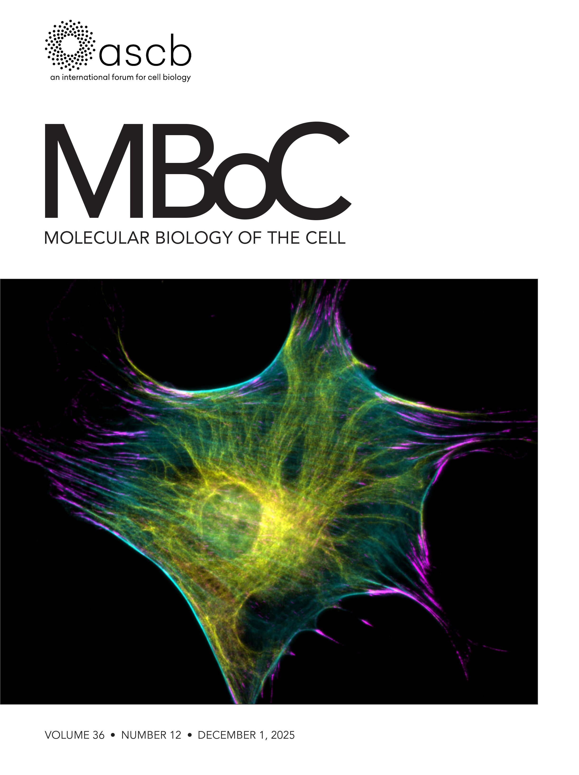 Preparation and Assembly of the Axial Invasion Chamber for Live-Cell Invadopodia Imaging