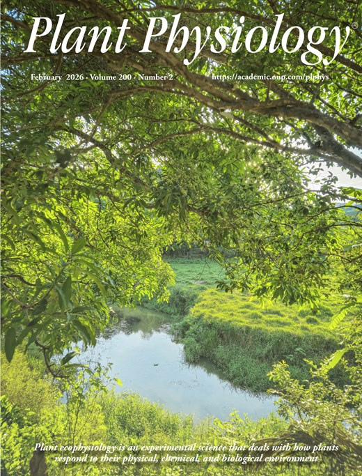 Cover of Plant Physiology, featuring study using the protocol.