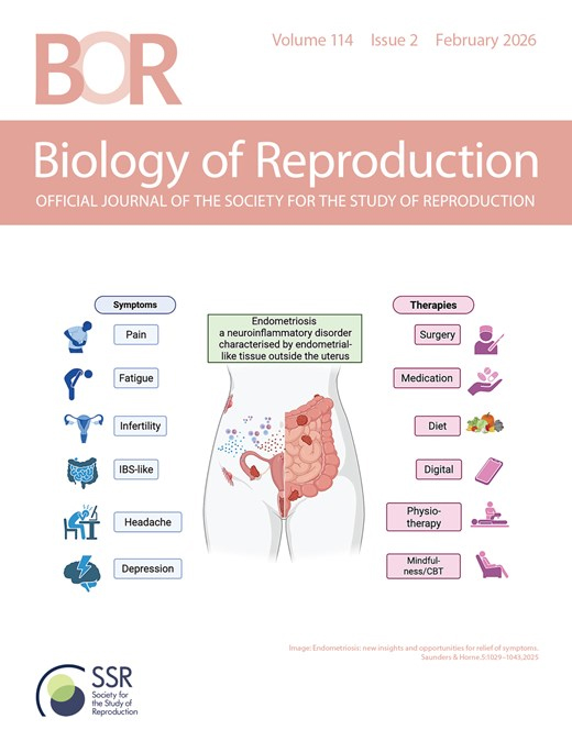 公羊精浆来源细胞外囊泡在精子中的摄取检测方法