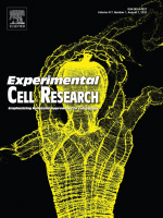 Quantitative Analysis of Splenic Natural Killer Cells of Mice Using Imaging Flow Cytometry