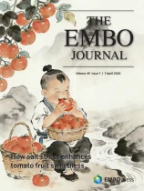 Assessment of Epithelial Barrier Integrity by TEER and FITC-Dextran Permeability Assays