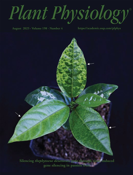 Kinetic Determination of Cytochrome b6f Activity In Vitro