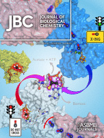 Evaluating Thioredoxin-Mediated CFoCF1 Reduction Using an In Vitro Thylakoid Assay