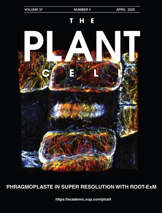 ROOT-ExM: Super-Resolution Imaging of Proteins in Arabidopsis Roots by Expansion Microscopy