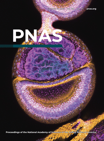 Customizable High-Throughput Chemical Phenotyping of Root Bacteria