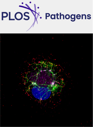 CRISPR-PITA：一种用于确定核蛋白招募方向性的基于成像的 CRISPR/dCas9 检测方法