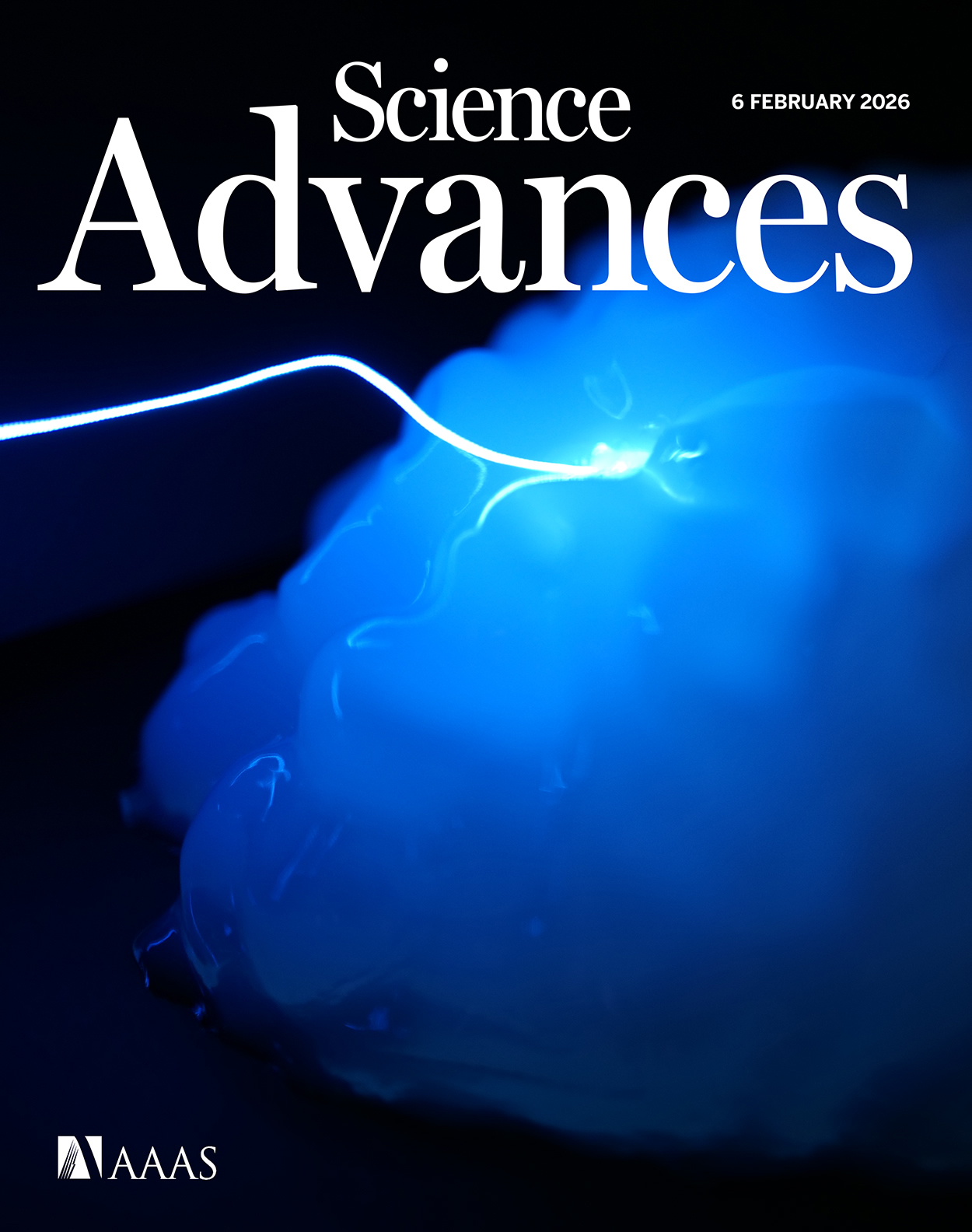 Cover of Science Advances, featuring study using the protocol.