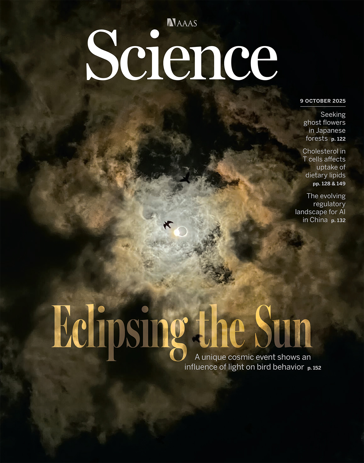 Cover of Science, featuring study using the protocol.