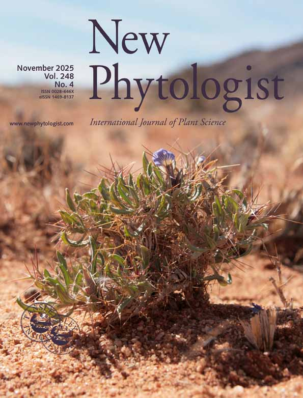 Cover of New Phytologist, featuring study using the protocol.