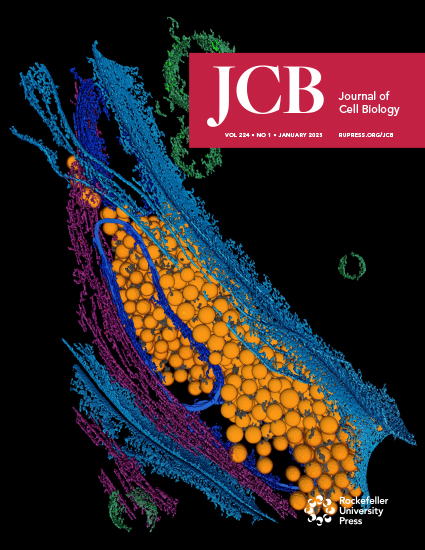 Cover of The Journal of Cell Biology, featuring study using the protocol.