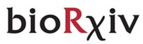 Cover of bioRxiv, featuring study using the protocol.