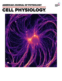 Cover of American Journal of Physiology-Cell Physiology, featuring study using the protocol.