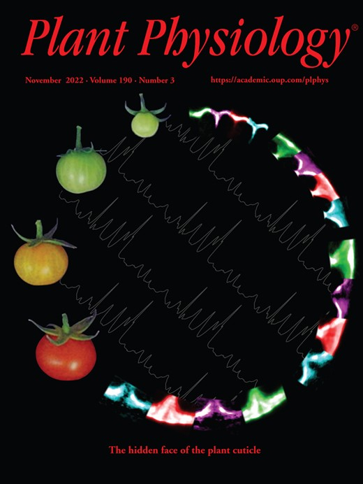 Simple Electroporation of Chlamydomonas reinhardtii Strains With an Intact Cell Wall