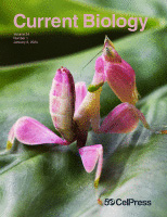 Cover of Current Biology, featuring study using the protocol.