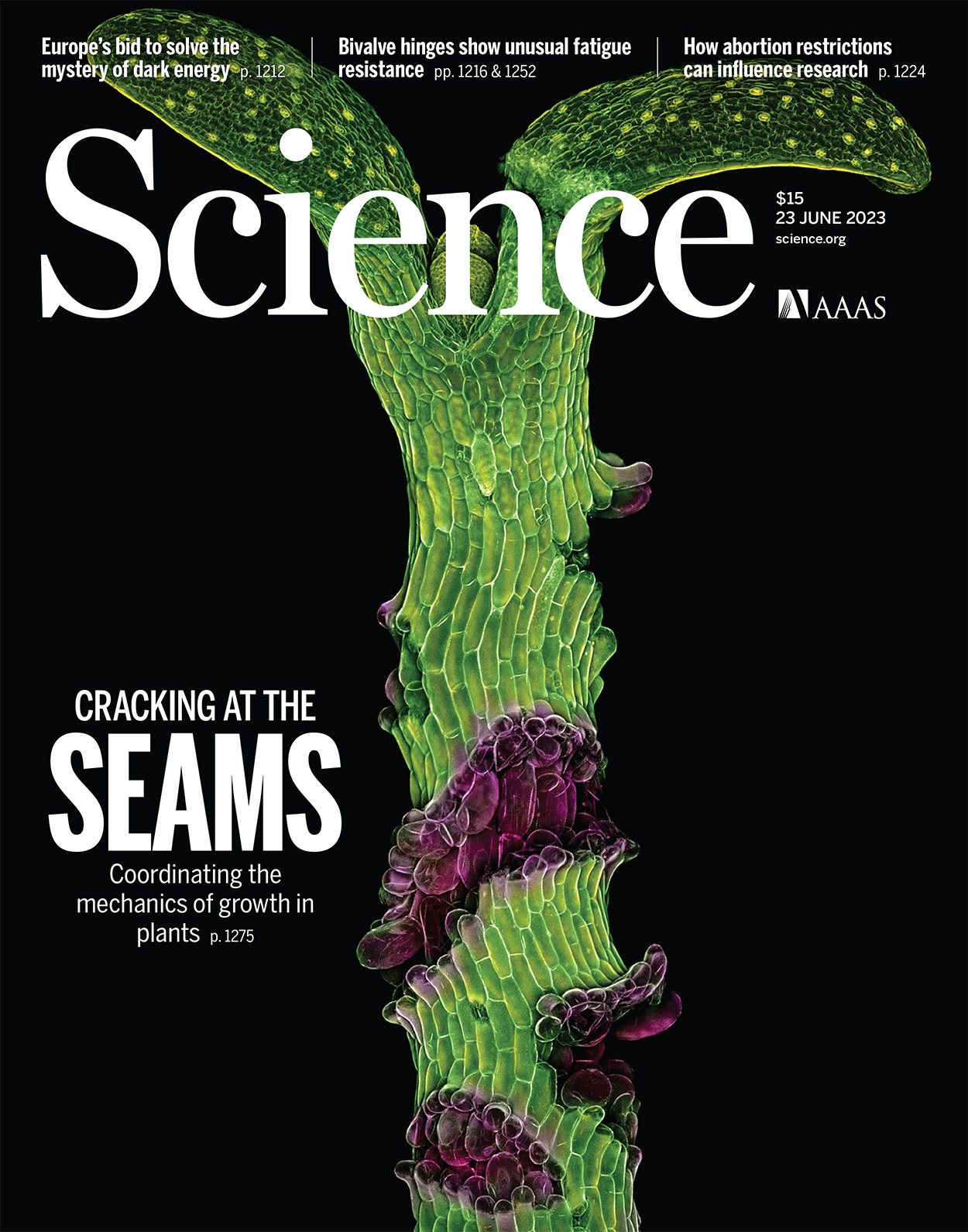 Cover of Science, featuring study using the protocol.