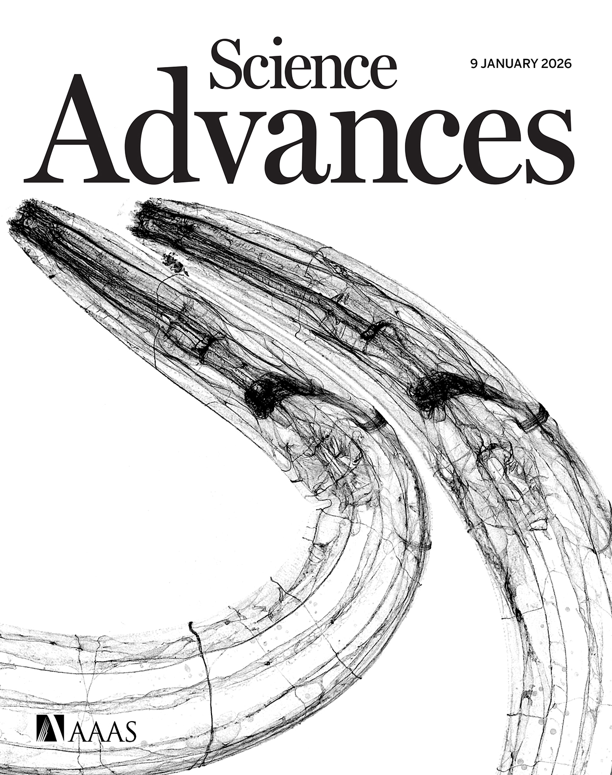Cover of Science Advances, featuring study using the protocol.