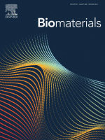 Cover of Biomaterials, featuring study using the protocol.