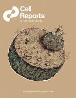 Cover of Cell Reports, featuring study using the protocol.