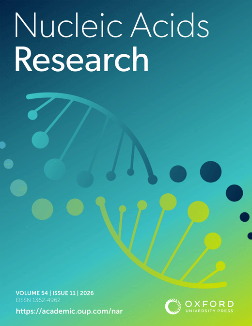 Cover of Nucleic Acids Research, featuring study using the protocol.