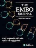 Cover of The EMBO Journal, featuring study using the protocol.