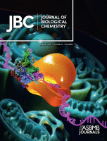 Cover of The Journal of Biological Chemistry, featuring study using the protocol.