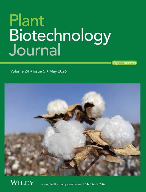 Cover of Plant Biotechnology Journal, featuring study using the protocol.