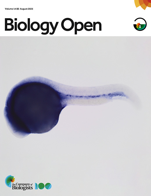 Cover of Biology Open, featuring study using the protocol.
