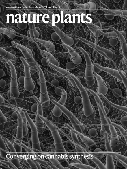 Cover of Nature Plants, featuring study using the protocol.