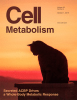 Cover of Cell Metabolism, featuring study using the protocol.