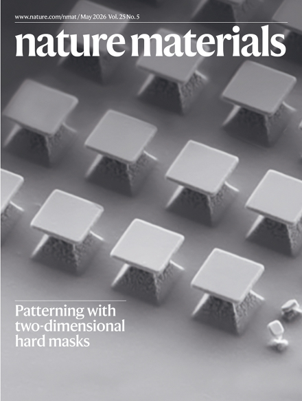 Cover of Nature Materials, featuring study using the protocol.