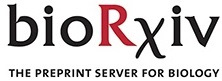 Cover of bioRxiv, featuring study using the protocol.
