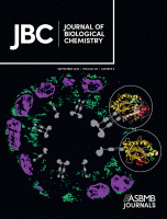 Cover of The Journal of Biological Chemistry, featuring study using the protocol.